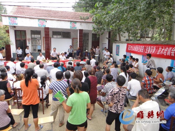 图片1.jpg