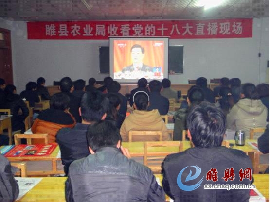 图片1.jpg