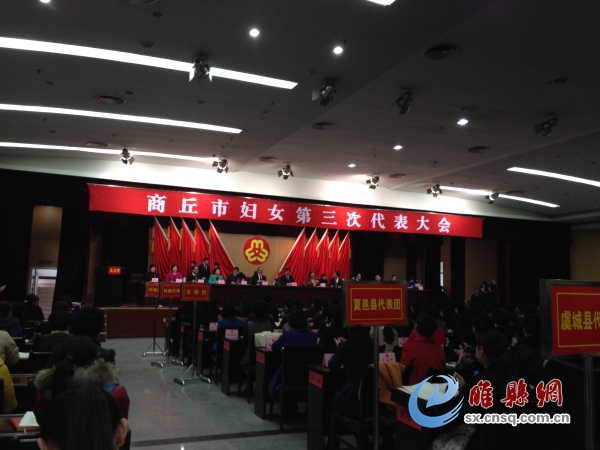 睢县代表团照片 (2).jpg