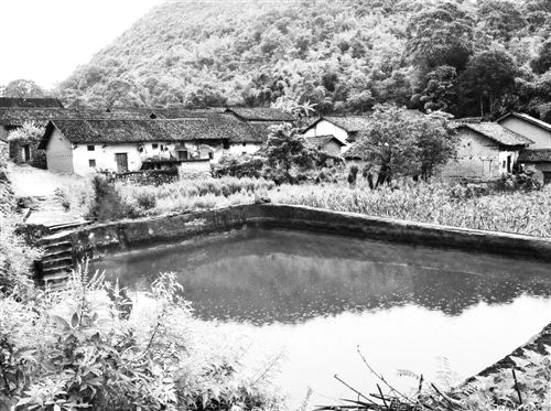 探访广西贫困村:77岁村民与猪同处一室(图)
