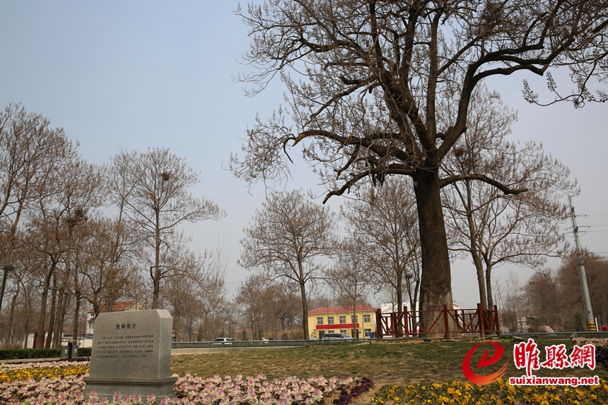 6B2A2116_副本.jpg