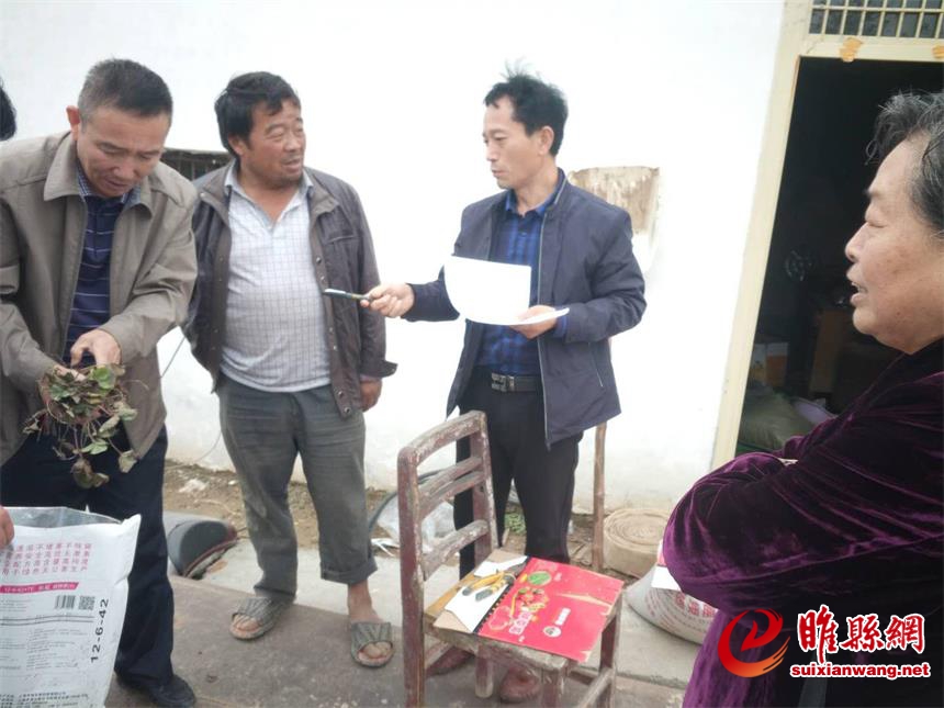 图片7.jpg