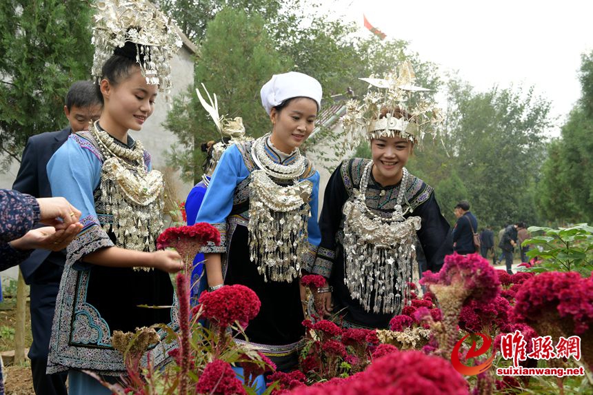 JPG_7574_副本.jpg