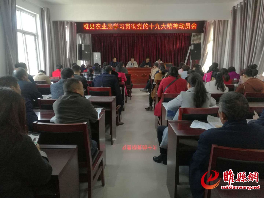图片2222_编辑.jpg
