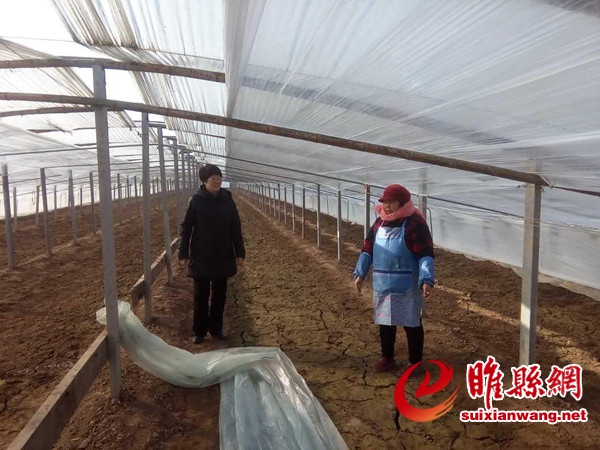 图片1_副本.jpg