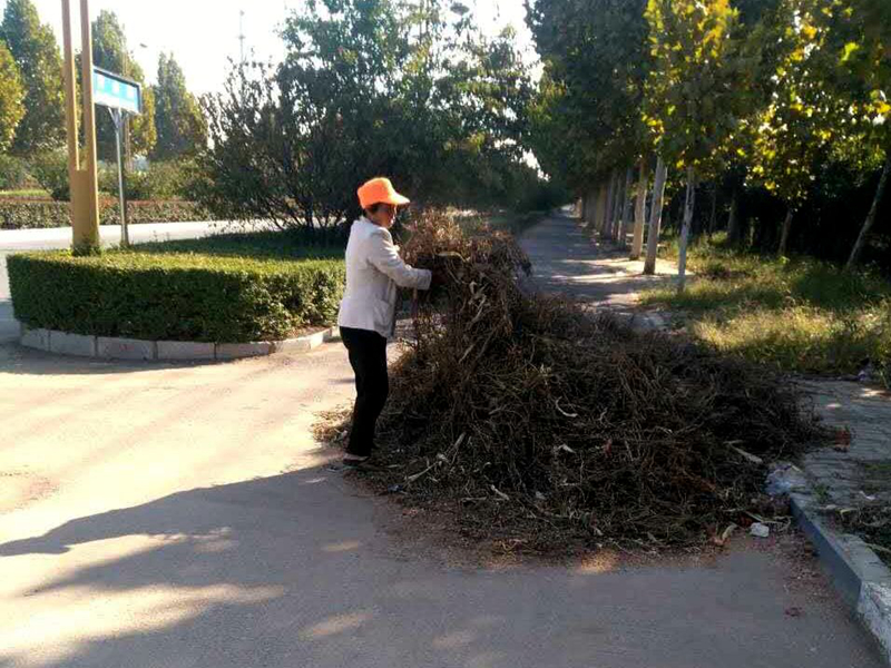 城管、环卫工作人员尽心尽职维护着城市环境卫生和生活秩序 (2)_副本.jpg