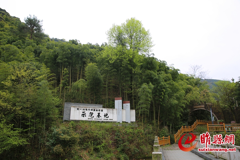 6b2a5376_副本.jpg