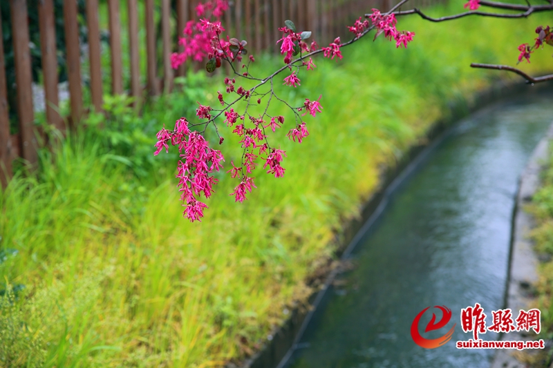 6b2a5644_副本.jpg