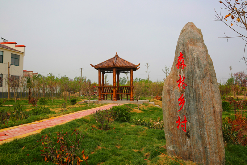 6b2a5807_副本.jpg