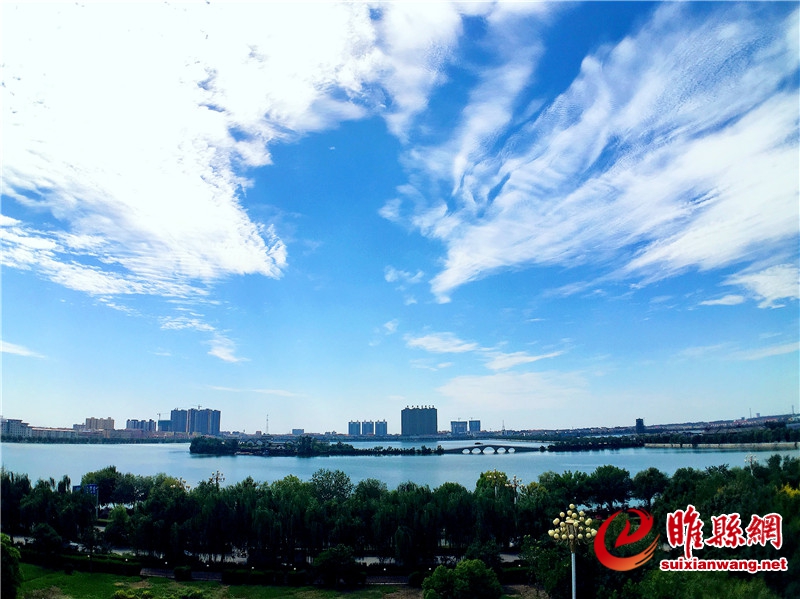 徐泽源《凤还巢》13629876511商丘市.jpg