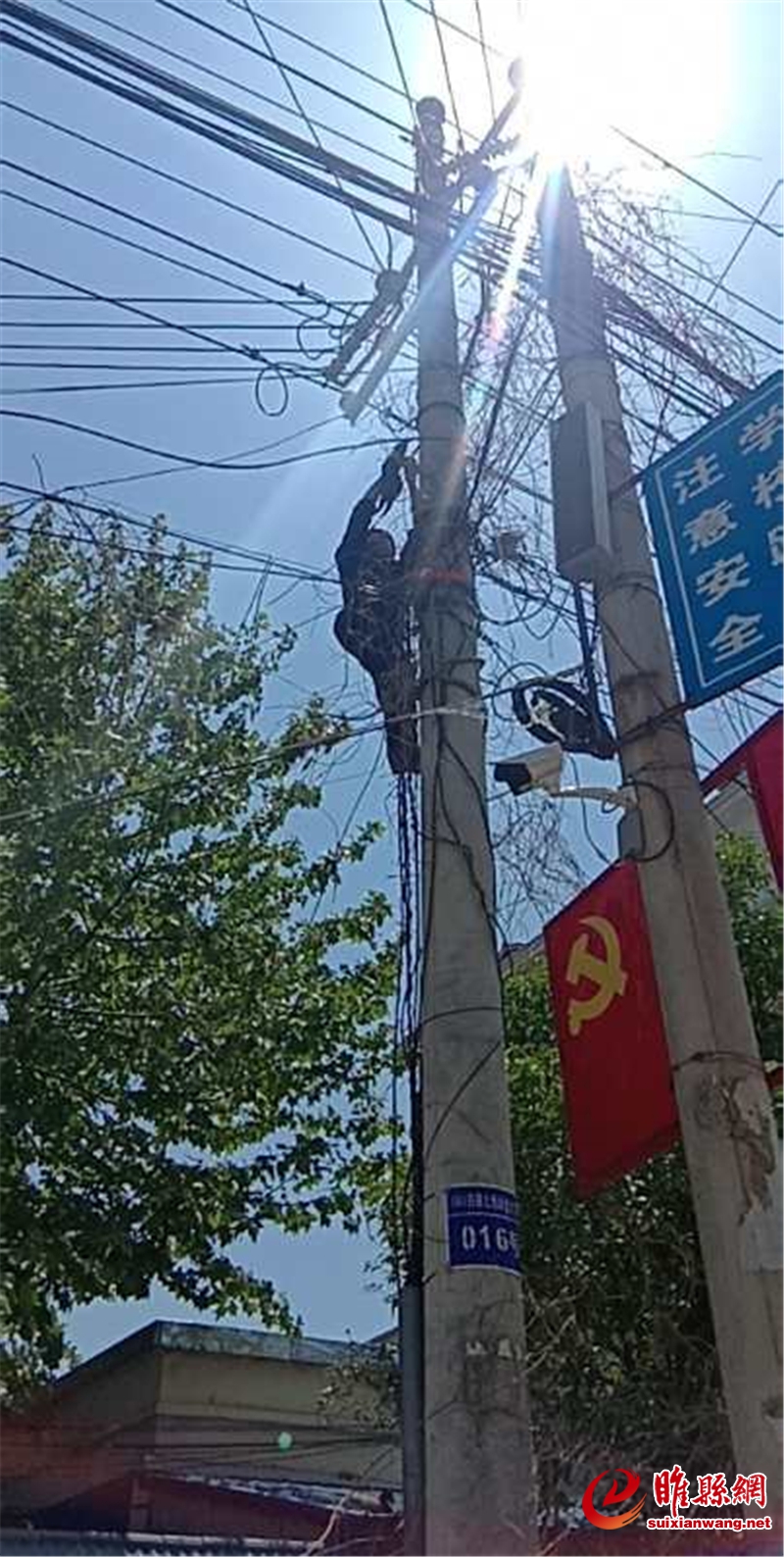 2042700310.jpg